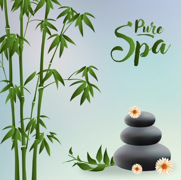 pure spa advertisement green bamboo stones icons decor