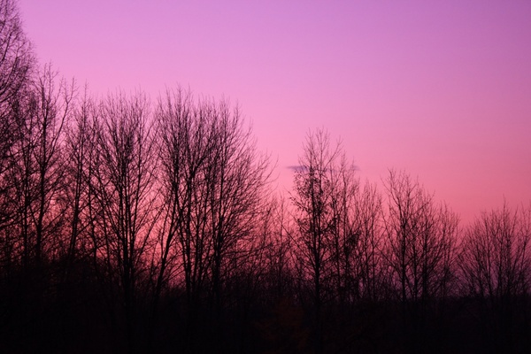 purple sky over trees at pike lake state park wisconsin 