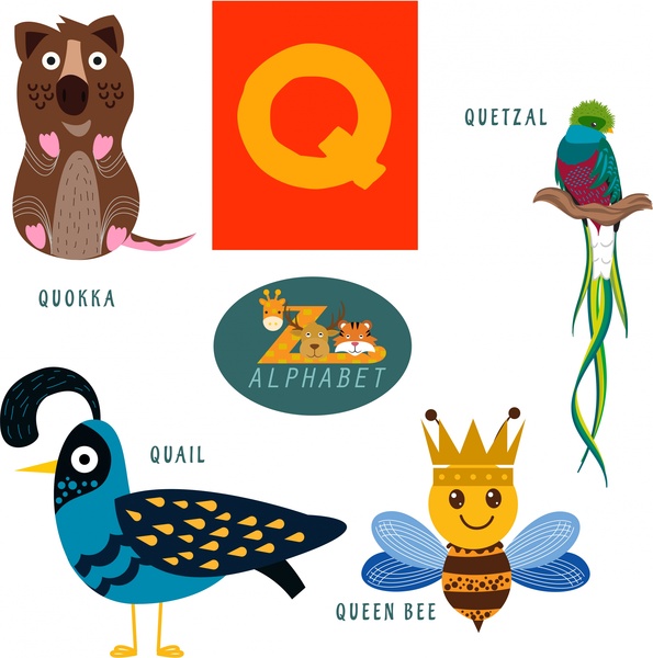 q letter education with cute animals illustration