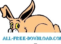 Rabbit 16 
