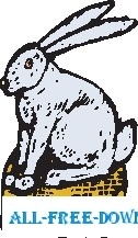 Rabbit 43 