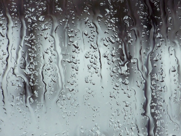 rain raindrops window