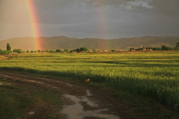 rainbow field afghanistan