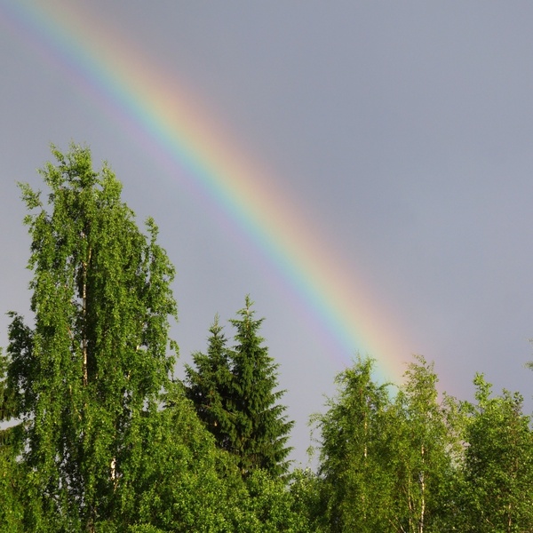 rainbow natural phenomenon refraction of light