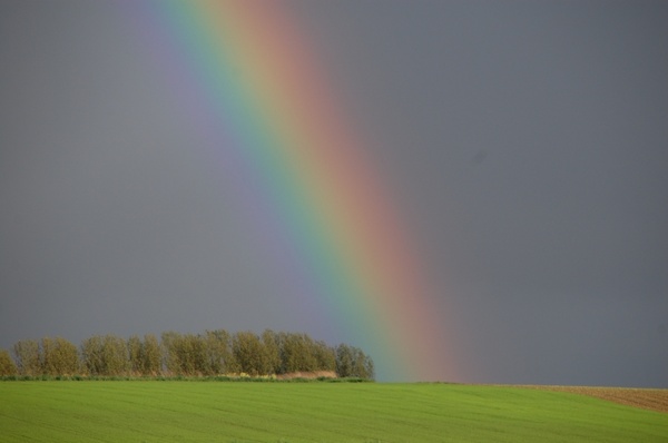 rainbow nature horizon