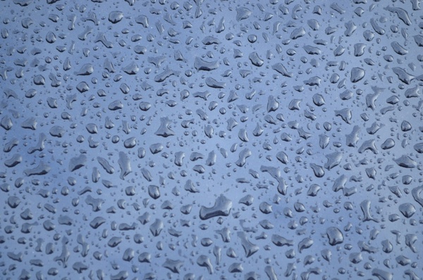 raindrops on the hood of the car