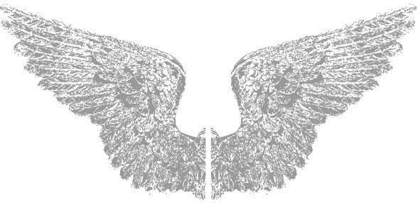 Download Baby angel wings svg free vector download (87,089 Free vector) for commercial use. format: ai ...