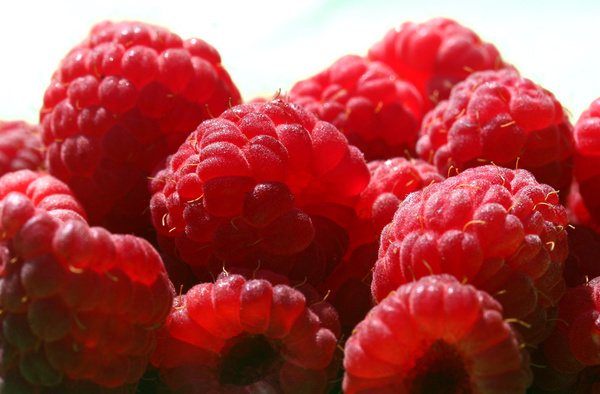 raspberries macro