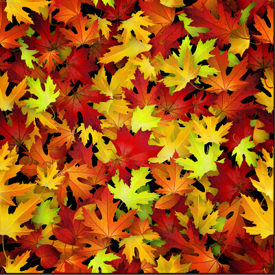 realistic autumn leaves pattern vector graphics