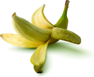 realistic banana design vector illustration