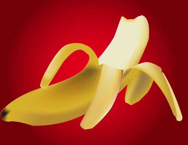 realistic banana food vector