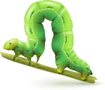 realistic budworm vector design 