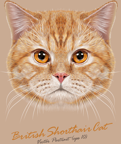 Realistic cat art background vector Vectors graphic art designs in