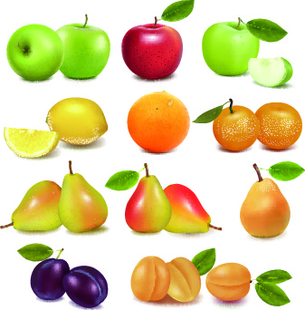 realistic fruit vector illustration set 