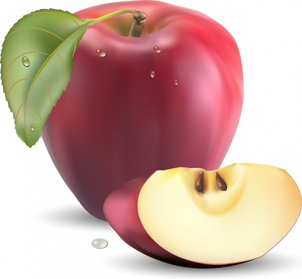 fresh apple icon colored realistic 3d sketch