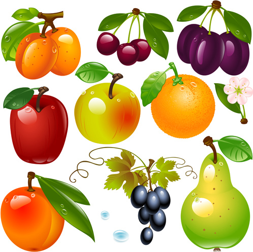 Download Realistic fruits and berry design vector Free vector in ...