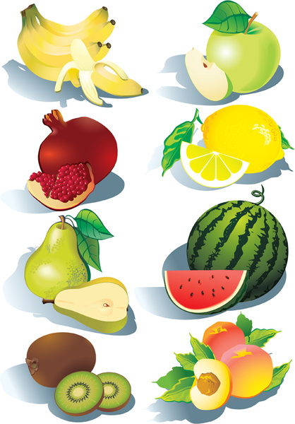 realistic fruits icons vector