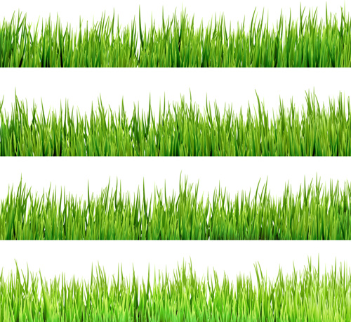 realistic grass borders design vector
