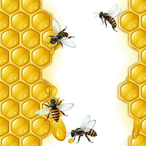 realistic honey and bees vector graphics
