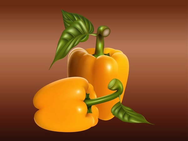 realistic peppers food vectors