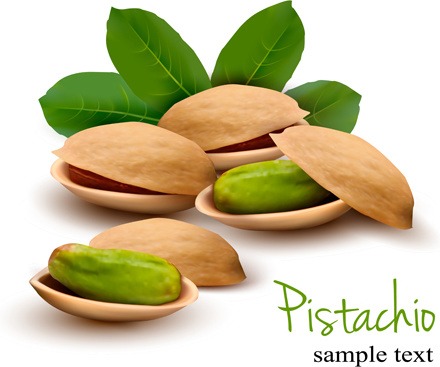 realistic pistachio shiny vector background 