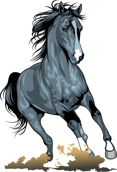 realistic running horses vector graphics