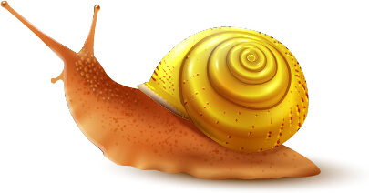 realistic snails vector design