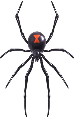 realistic spider vector design