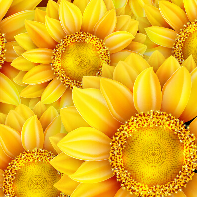 Download Realistic sunflowers vector seamless pattern Free vector ...