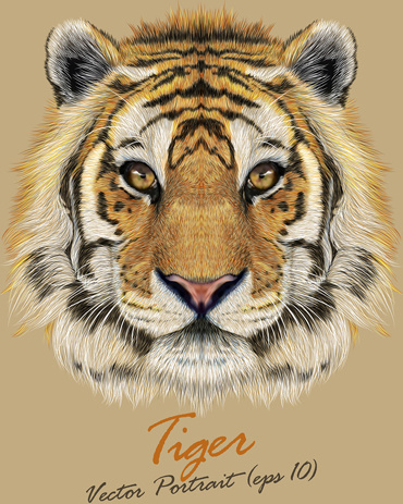 realistic tiger art background vector