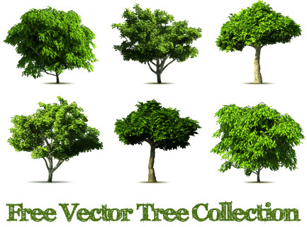 realistic tree vector design graphics