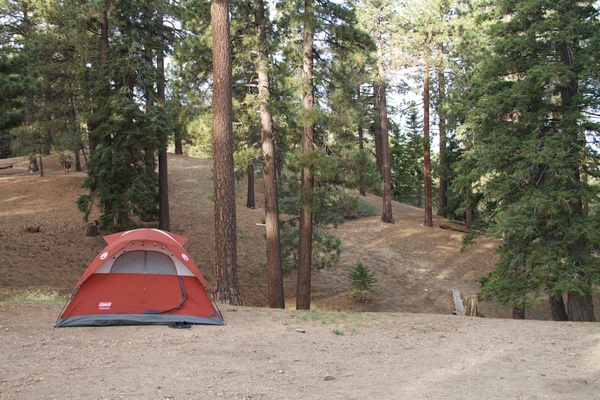 red camping tent in the forest 