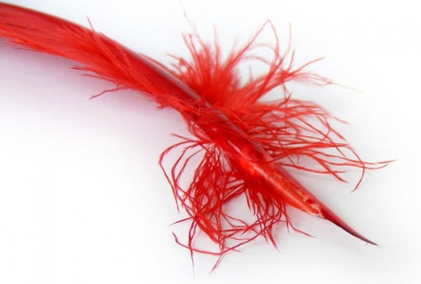 red feather 