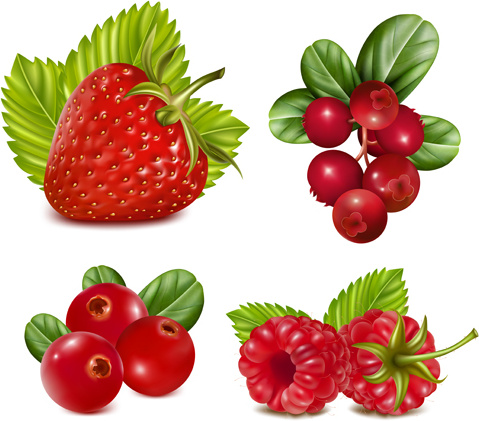 red fruits vector set