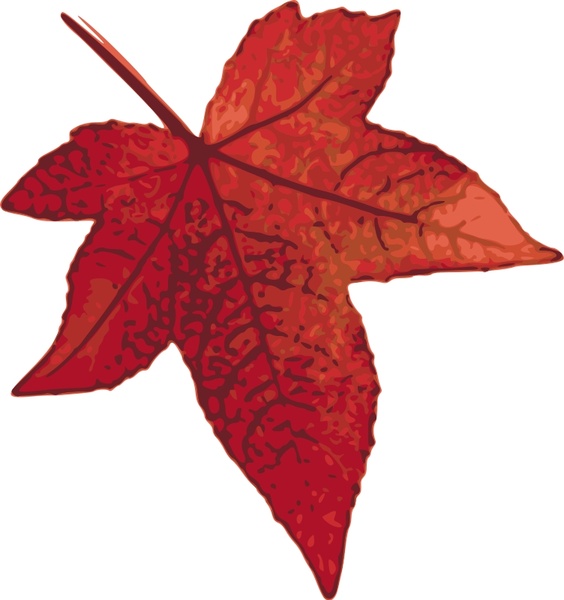 Red maple leaf Free vector in Open office drawing svg ( .svg ) vector