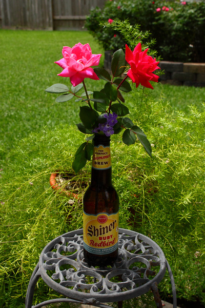 red neck flower vase summer beer ruby redbird ruby red grapefruit juices amp ginger used