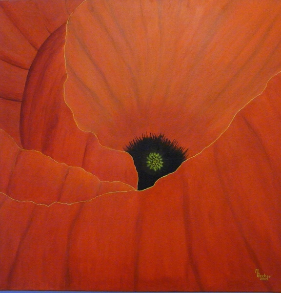 red poppy painting image
