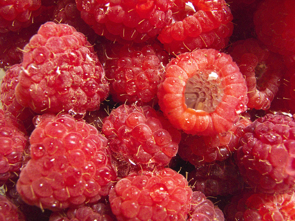 red raspberries