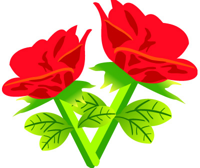 red rose flowers