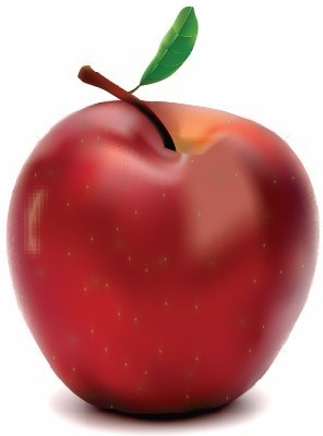 red vector apple food vector art