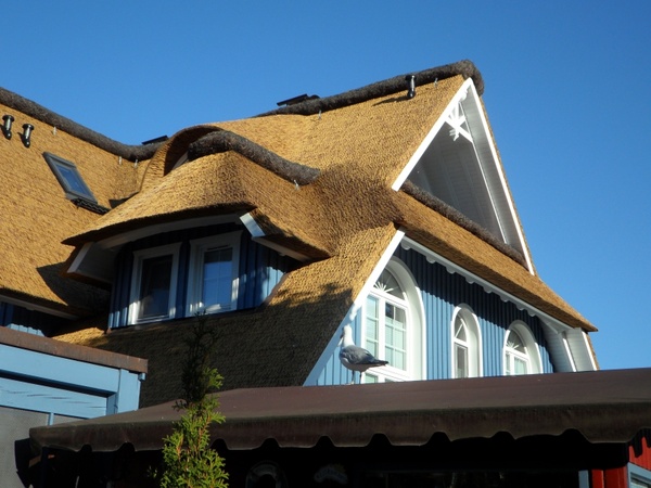 reed home roof