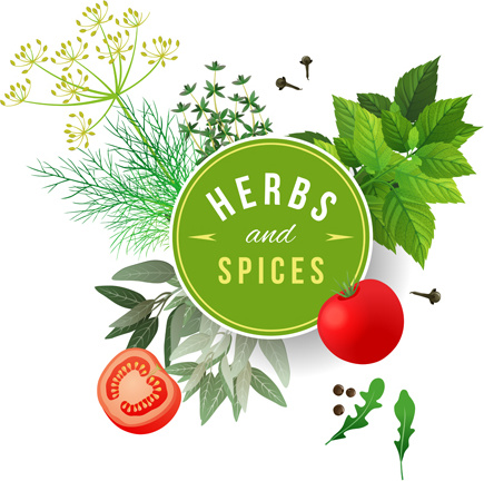 Spices vector free vector download (62 Free vector) for commercial use