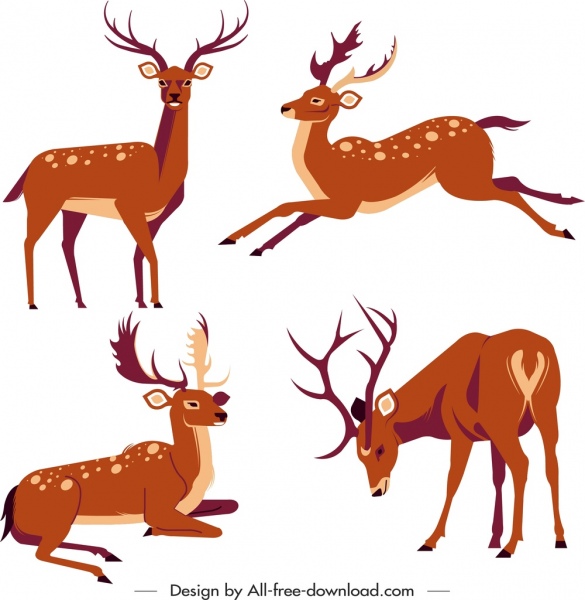 reindeer species icons colored cartoon sketch