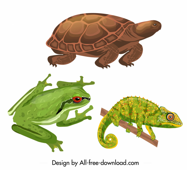 reptile animals icons colored turtle frog gecko sketch