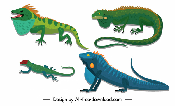 reptile creatures icons salamanders gecko sketch colorful design