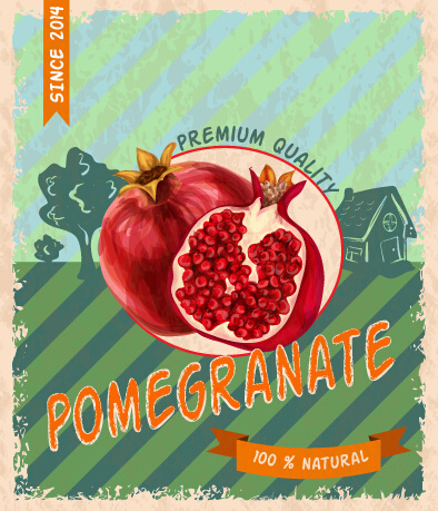 retro grunge pomegranate poster vector