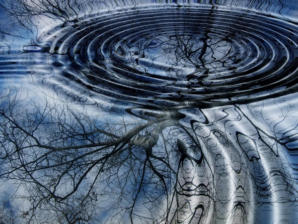 rings mirroring water