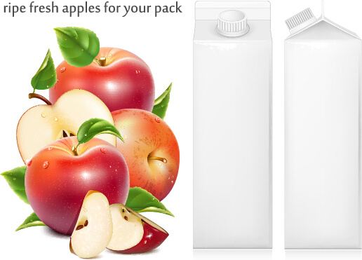ripe fresh apples with packing vector