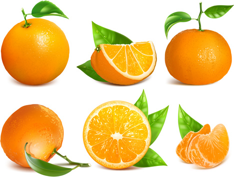 Free Free Orange Fruit Svg Free 403 SVG PNG EPS DXF File