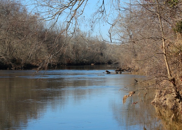 river creek river bank